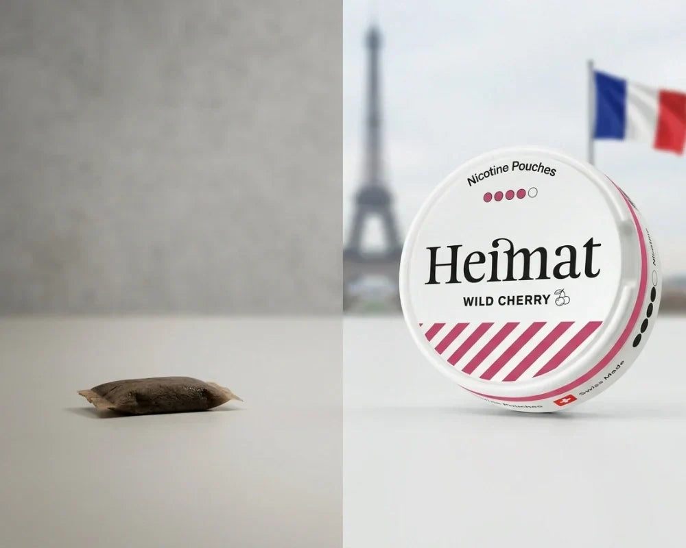 Snus ve Francii – co je povoleno a co už ne