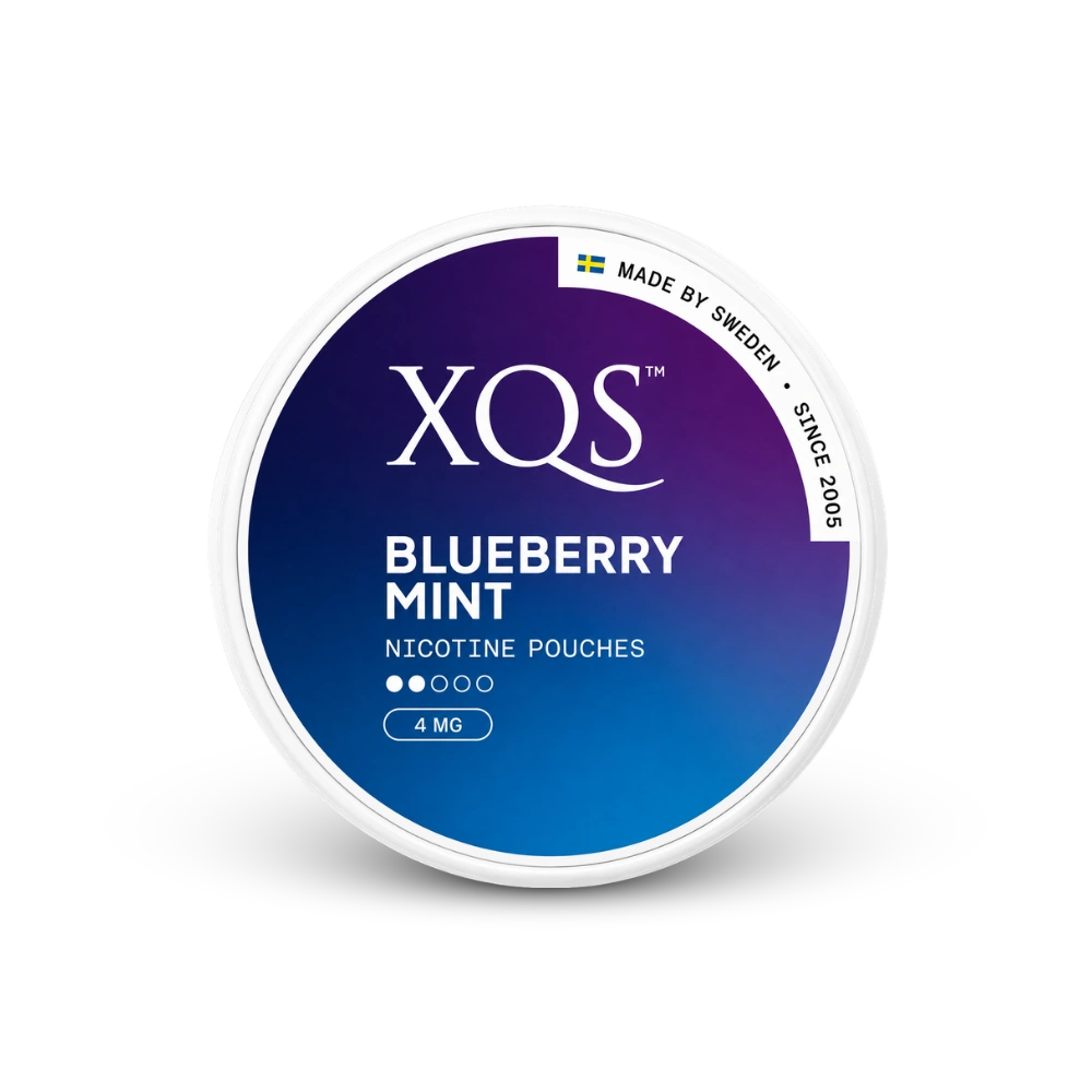 XQS nikotinové sáčky Blueberry Mint 4 mg