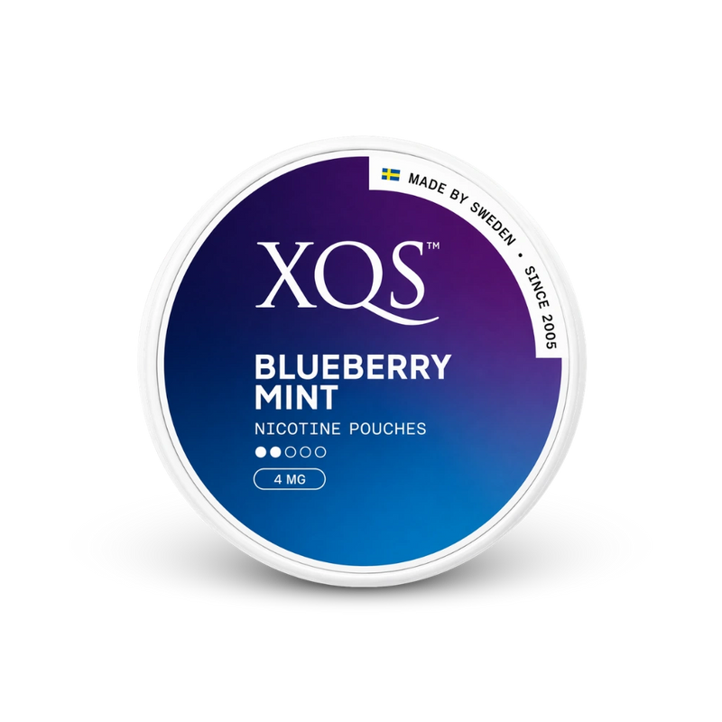 XQS nikotinové sáčky Blueberry Mint 4 mg
