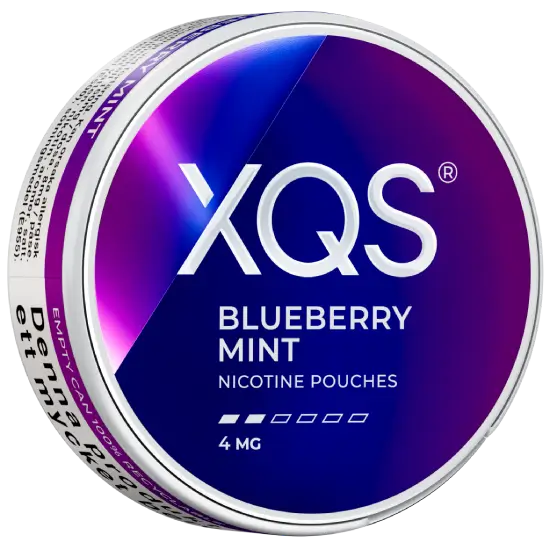 XQS Blueberry Mint Light