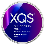 XQS Blueberry Mint Strong
