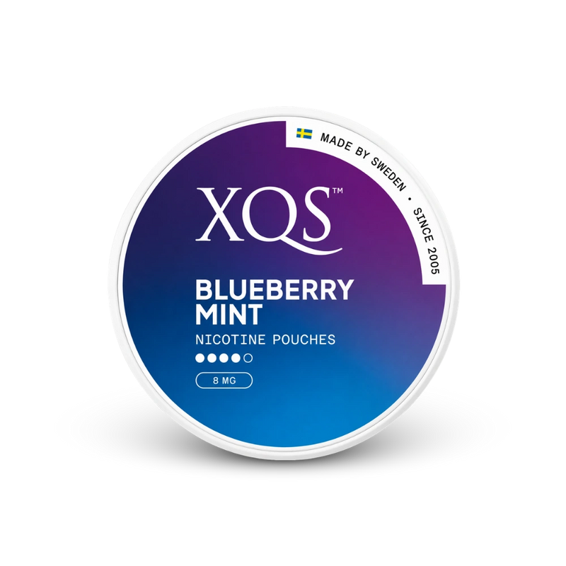 XQS nikotinové sáčky Blueberry Mint 8 mg